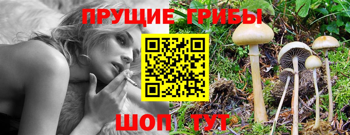 Галлюциногенные грибы ЛСД  Вход с VPN  купить  сайты  Александров 